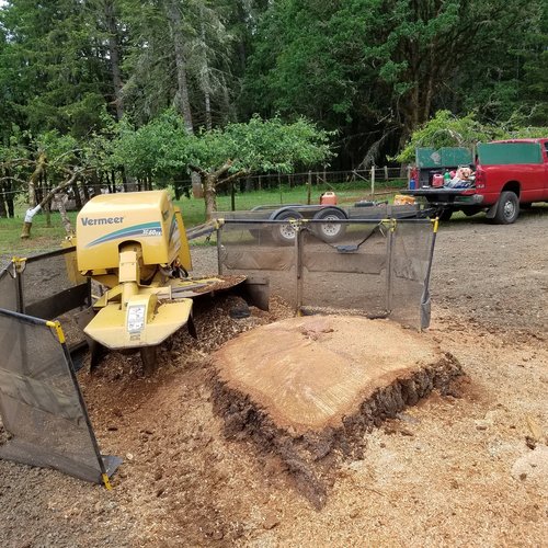 Stump grinding in Winston-Salem NC